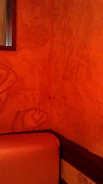 Японский ресторан с живой кухней)))) смотреть онлайн