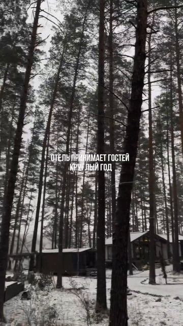 Эко-отель «Мирамирам», больше про путешествия на нашей странице🏔️ смотреть онлайн