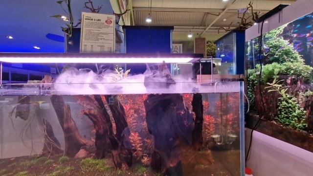 МАГАЗИН КАК ЗООПАРК!.😻 HAMBURG-BERGEDORF. СЕМЕЙНЫЙ БЛОГ.👨👩👧👧 смотреть онлайн