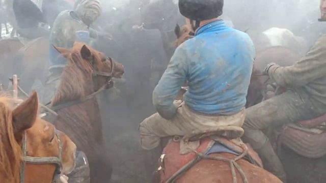 МИРБЕК ПАЛВАН. ЖАНЫ-КЫЗЫЛ-СУУ. 29.01.22. смотреть онлайн