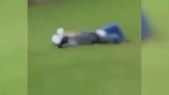 Богатыревы похороны смотреть онлайн