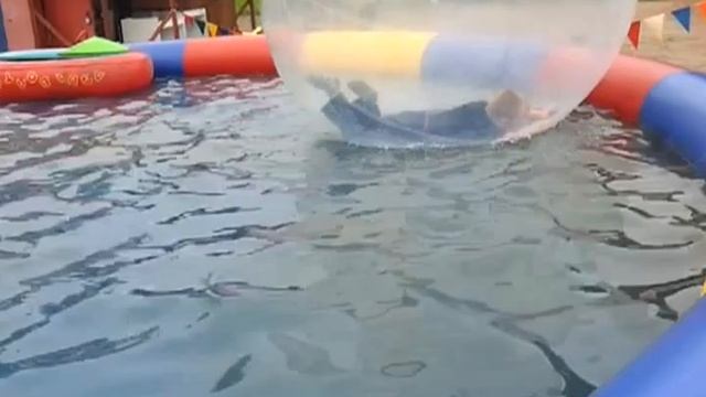 Дети в шариках на воде.Тихвин. смотреть онлайн