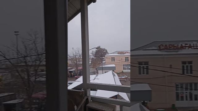 Қаңтар, 2024ж Сарыағаш қаласы. Бізде осындай қыс ) #сарыагаш #курорты #курортсарыагаш #путешествия смотреть онлайн