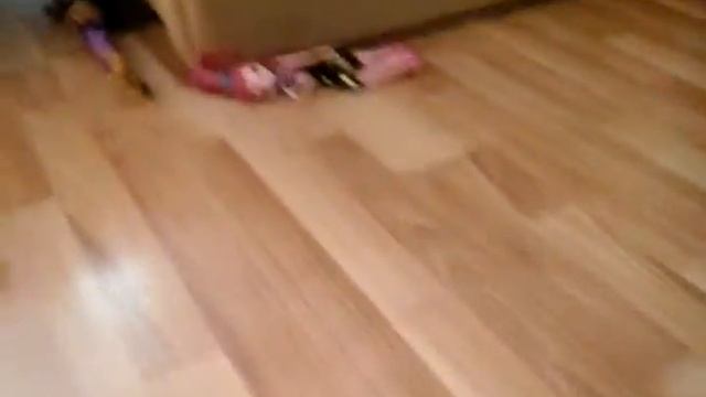 монстрические каникулы смотреть онлайн