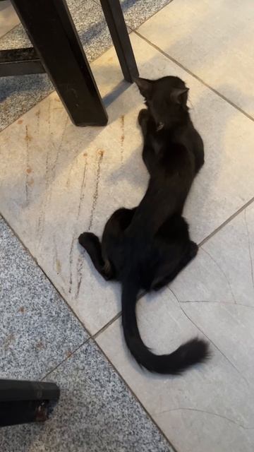 Вы знали про изумительный рыбный ресторан в Старом городе Шарма (Египет)? Теперь знаете. смотреть онлайн