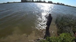 РЫБАЛКА В АСТРАХАНИ ДИКАРЯМИ!САЗАН ЕСТЬ! ОТДЫХ И РЫБАЛКА С НОЧЕВОЙ.КУПИЛ СОБАКУ!