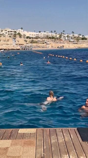 Time for diving. Hotel Sierra Sharm El Sheikh 5*.Egypt. Red Sea. Египет. Отель Сиерра. Шарм эль Шей