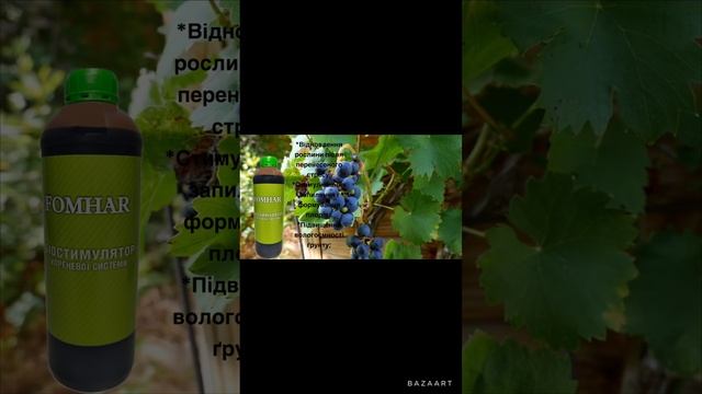 Биостимуляторы роста растений. Удобрение для корней. Биодобавка. Біостимулятори росту рослин