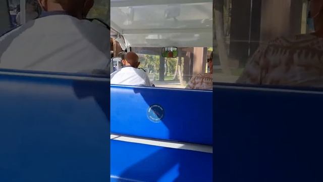 Приехали в отель Tropical Deluxe Princess / Caribe Deluxe Princess Доминикана 2021 смотреть онлайн