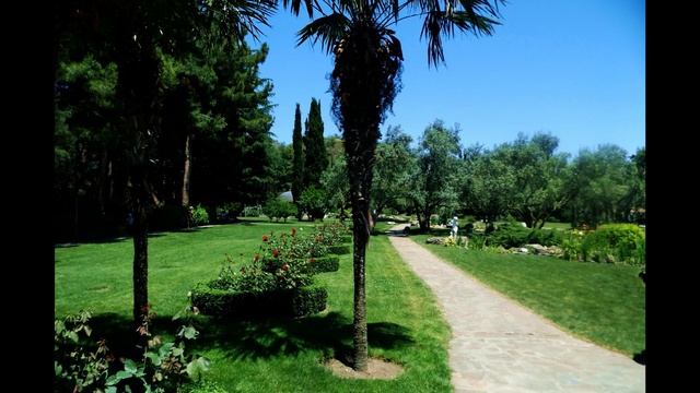 Партенит 25 06 16 смотреть онлайн