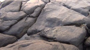 9_Унаватуна на sunset blow hole _солнце и неадекватные волны_Шри Ланка_ТатиЛанка_Танюшка Курчина