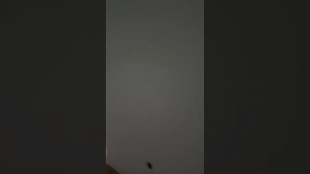 Коммерческое помещение