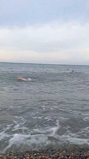 АНАПА. 2 октября 2022 г., +24 гр., вода +21. Малая бухта. Пляж "Высокий берег" смотреть онлайн