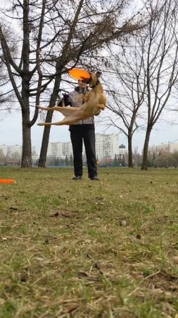 Спортивный Метис Прима - правый флип с усложнением броском