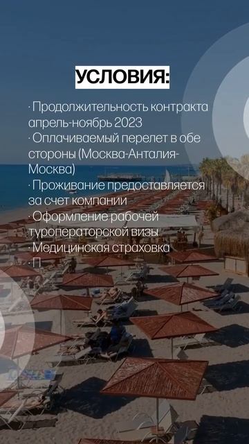Вакансия Трансферный гид в Турции. З/п от 500 до 700 USD. смотреть онлайн
