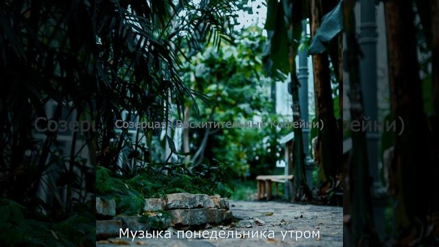 Солнечно - Настроение чтение смотреть онлайн