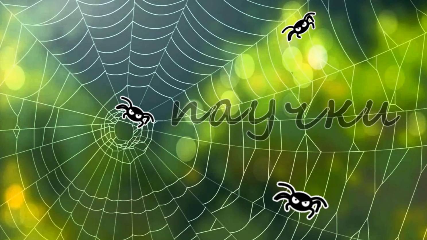 Мультфильм «Паучки»