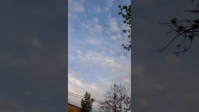 Ресторан "Черноморка"на Подоле-открытие сезона!!!Очень классное заведение,поверьте!!! смотреть онлайн