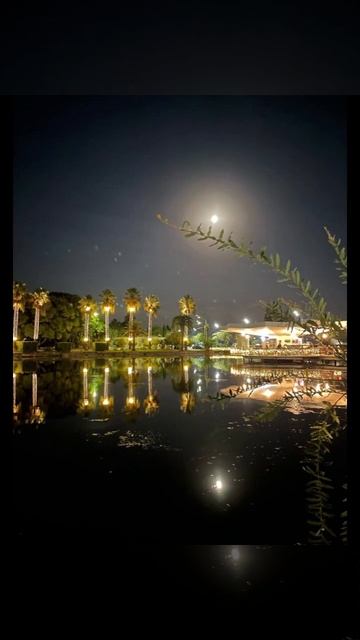 Абхазия, обстановка сегодня поздним вечером в Новоафонском парке, июль, ЛЕТО 2024 смотреть онлайн