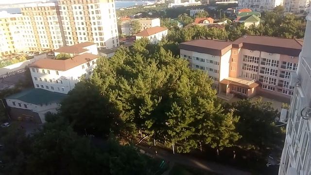 Геленджик 09.07.2021 - Богодистов, убей эту шавку! смотреть онлайн