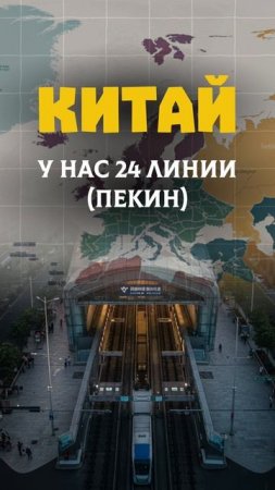 ЛИНИИ МЕТРО🤔#егэ2025 #общество #шортс #егэ #shorts