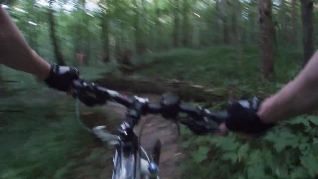 Ромашково #2 30.06.22 смотреть онлайн