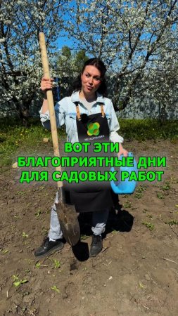 Благоприятные дни для садовых работ в мае