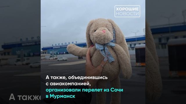 Маленькой мурманчанке вернули игрушечного зайчика, забытого в аэропорту Сочи смотреть онлайн