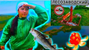 Лесозаводский(Мурманская область)