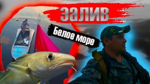 Кандалакшский залив (Рыбалка)