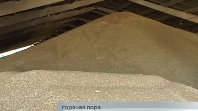 15 07 16 Глава на уборочной страде смотреть онлайн