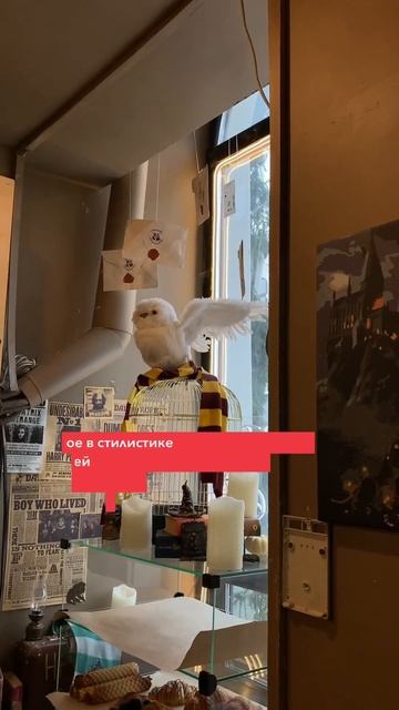 Кофейня в стиле Гарри Поттера смотреть онлайн