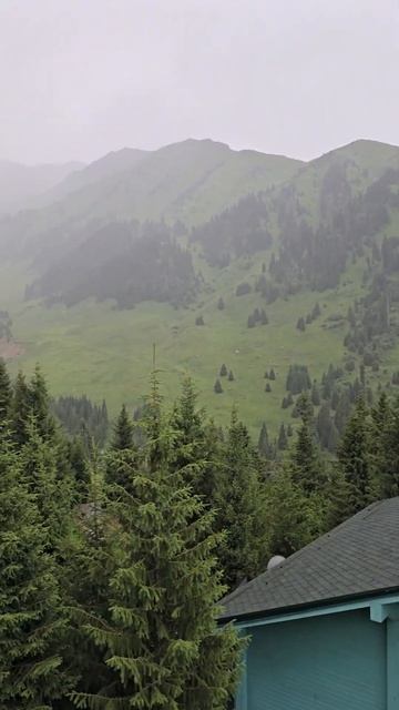 Пафосный ресторан Ассорти Чимбулак на горнолыжном комплексе #chimbulak смотреть онлайн