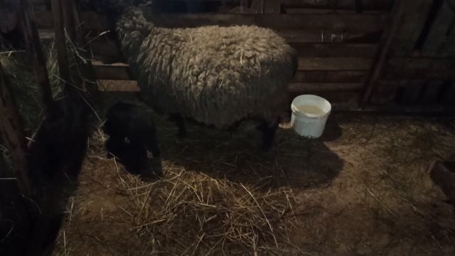 обычный рабочий день. смотреть онлайн