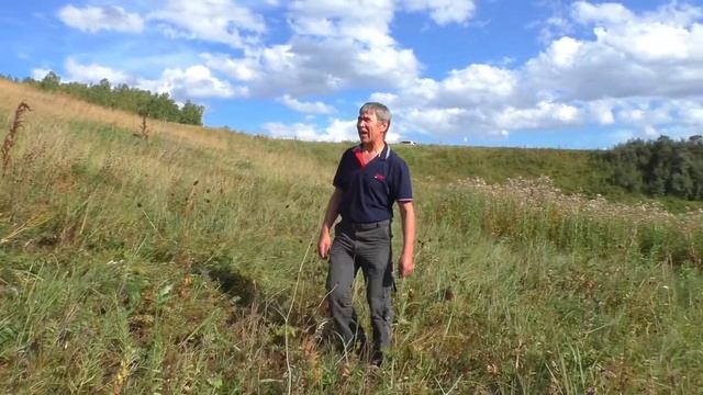 Птичка смотреть онлайн