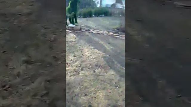 это в санатории парус смотреть онлайн