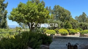 VLOG: Турция, день 6 и 7 | рестораны А-ля-карт в отеле Crystal Waterworld