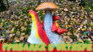 Октябрьская грибалка в Карелии