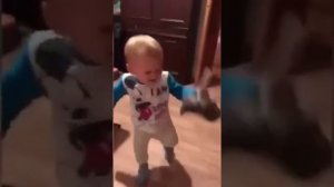 котёнок прилипало,, подпишись не трудно же