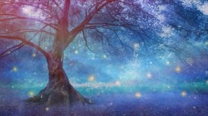 Крайон. Пророчества и предсказания Будущего. Почему не все пророчества сбываются?