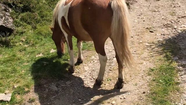 South Tyrol/Italy/Rosskopf/Monte Cavallo //Южный Тироль. Северная Италия.Монте Кавалло (5) (2020) смотреть онлайн