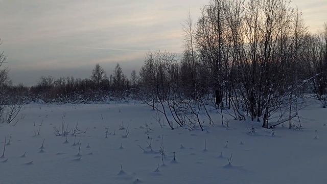 Зимняя кРАсота смотреть онлайн