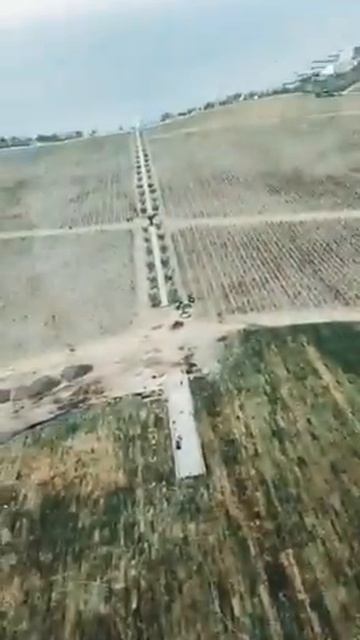 Крым Мрия Винни Парк 2020 смотреть онлайн