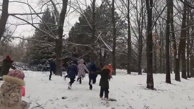 новогодняя сказка в ботаническом саду .г. Ставрополь. берендеево