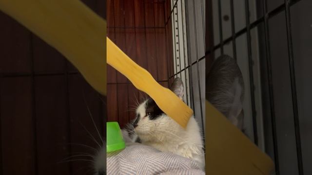 25-04-2025 смотреть онлайн