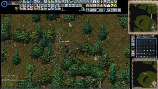 Ultima Online - Macro For Digging Up Treasure Chest - Enhanced Client смотреть онлайн