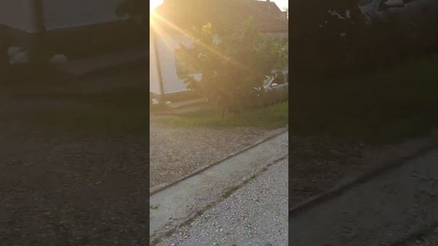 Экскурсия по Матарушке бане продолжается. Теплая, благодатная и гостеприимная Сербия смотреть онлайн