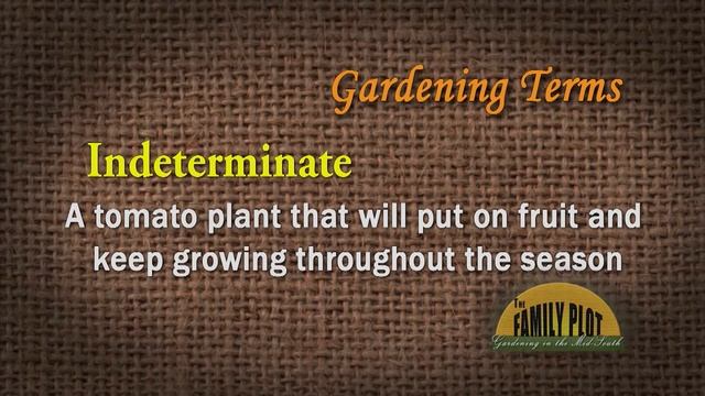 Determinate vs. Indeterminate Tomatoes – Garden Glossary