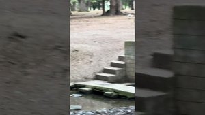 2 июля 2024 год.Поездка с Дербента в Самурский лес 🌳