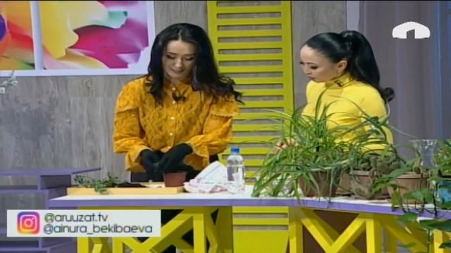 ТҮЗ ЭФИР/ АРУУЗАТ / Гүлдү кантип өстүрүү керек жана кандай өзгөчөлөнгөн сырлары бар? смотреть онлайн